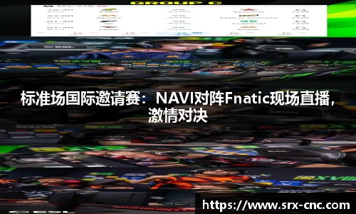 标准场国际邀请赛：NAVI对阵Fnatic现场直播，激情对决