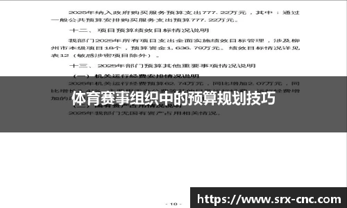 体育赛事组织中的预算规划技巧